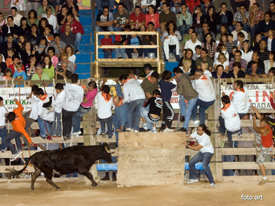 S'obre el període d'inscripcions per participar al concurs del cartell de la Festa Major 2009